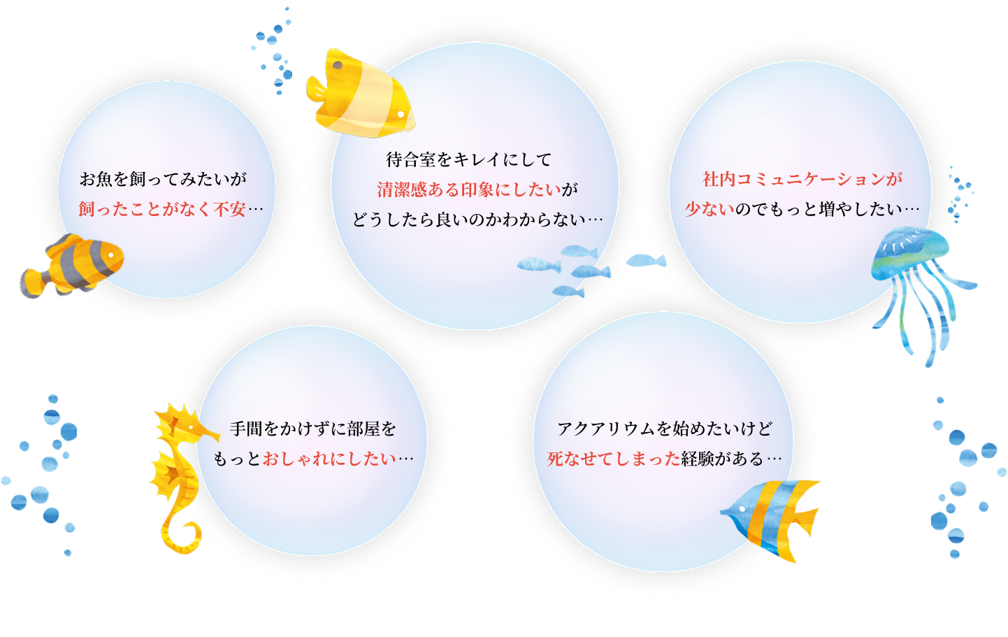 アクアリウムレンタルのお悩みたち