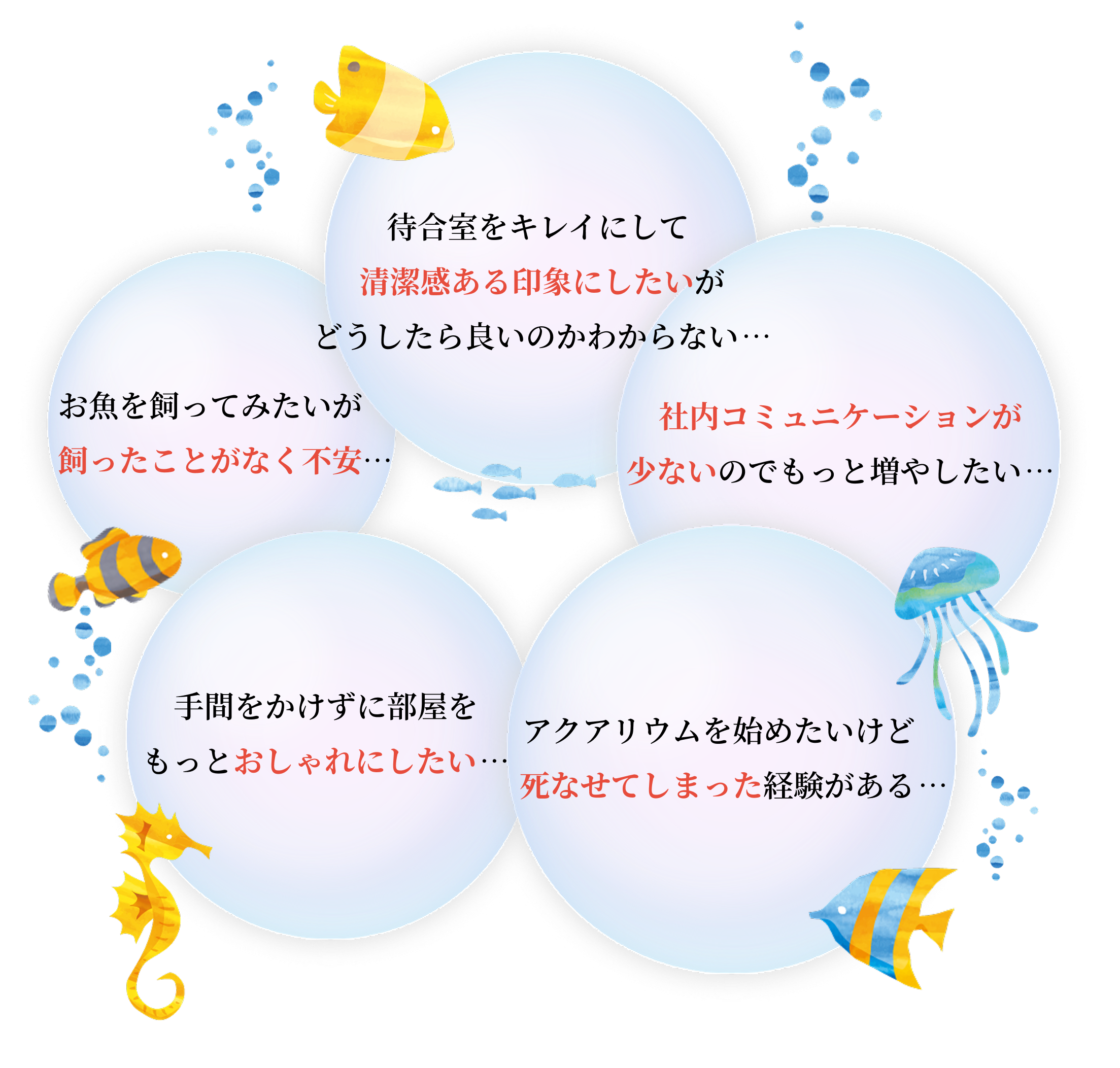 アクアリウムレンタルのいろんな悩みスマホ