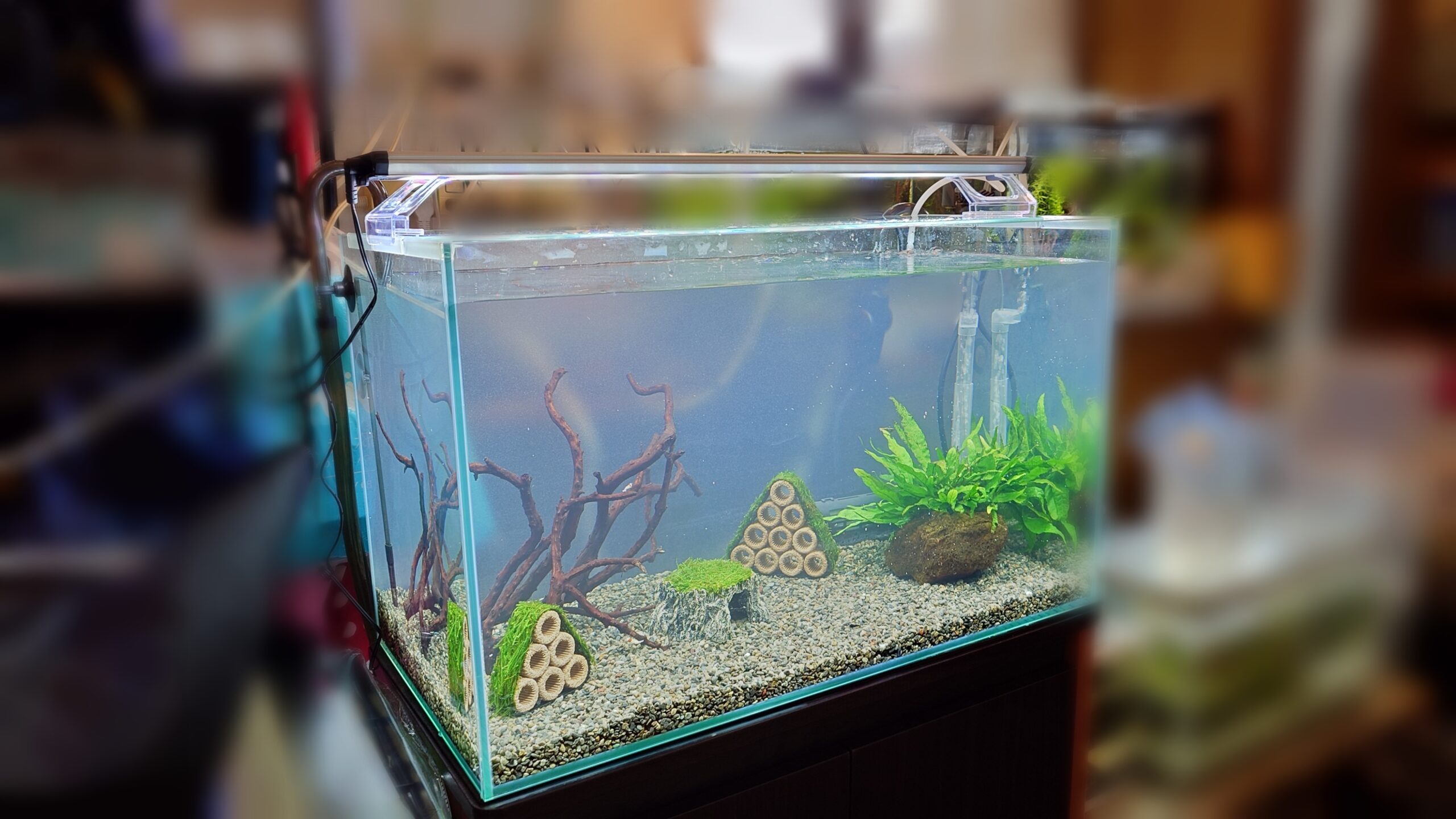 水槽屋アクアリウムわかばのアクアリウムレンタル