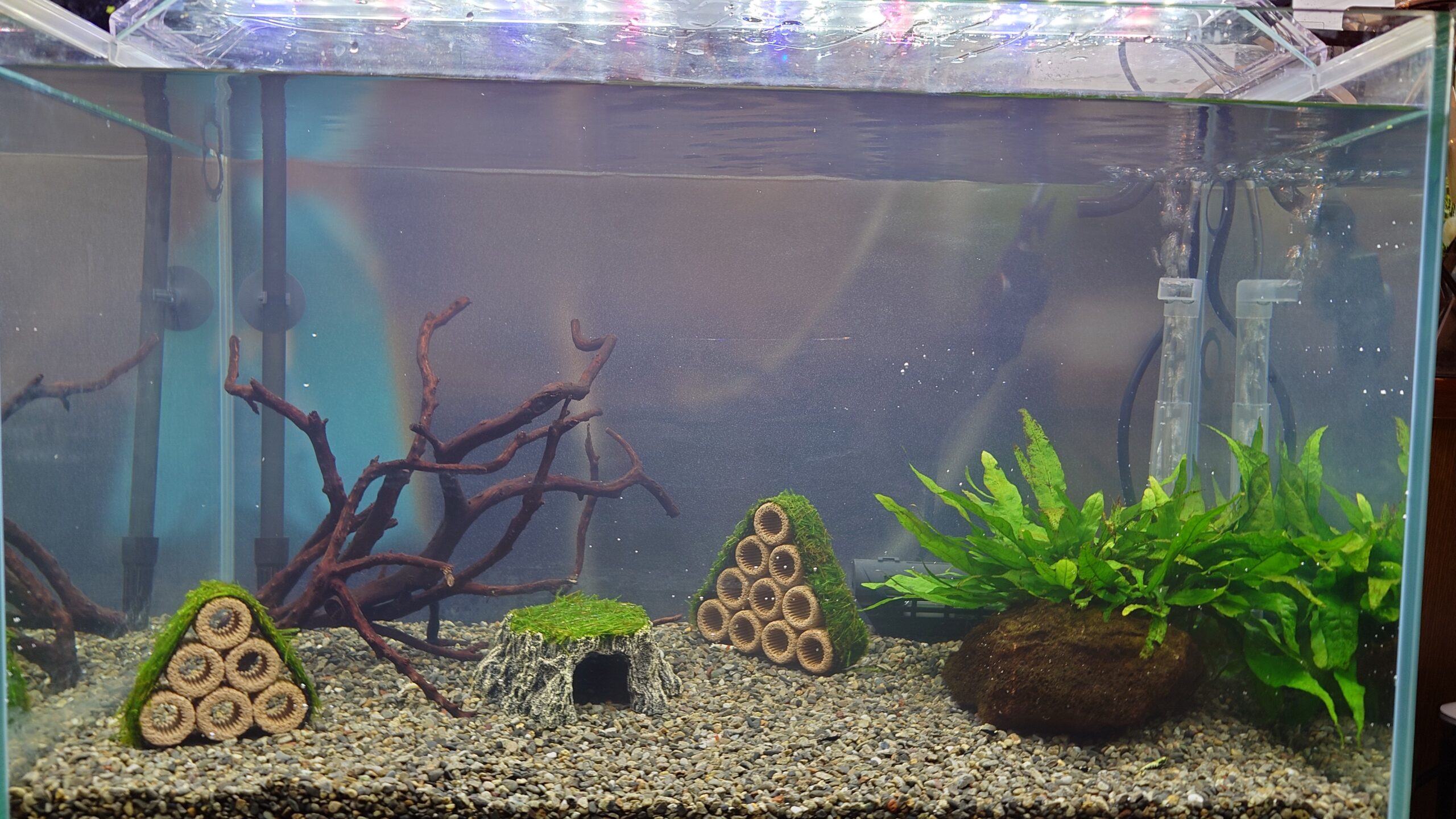 水槽屋アクアリウムわかばのアクアリウムレンタル