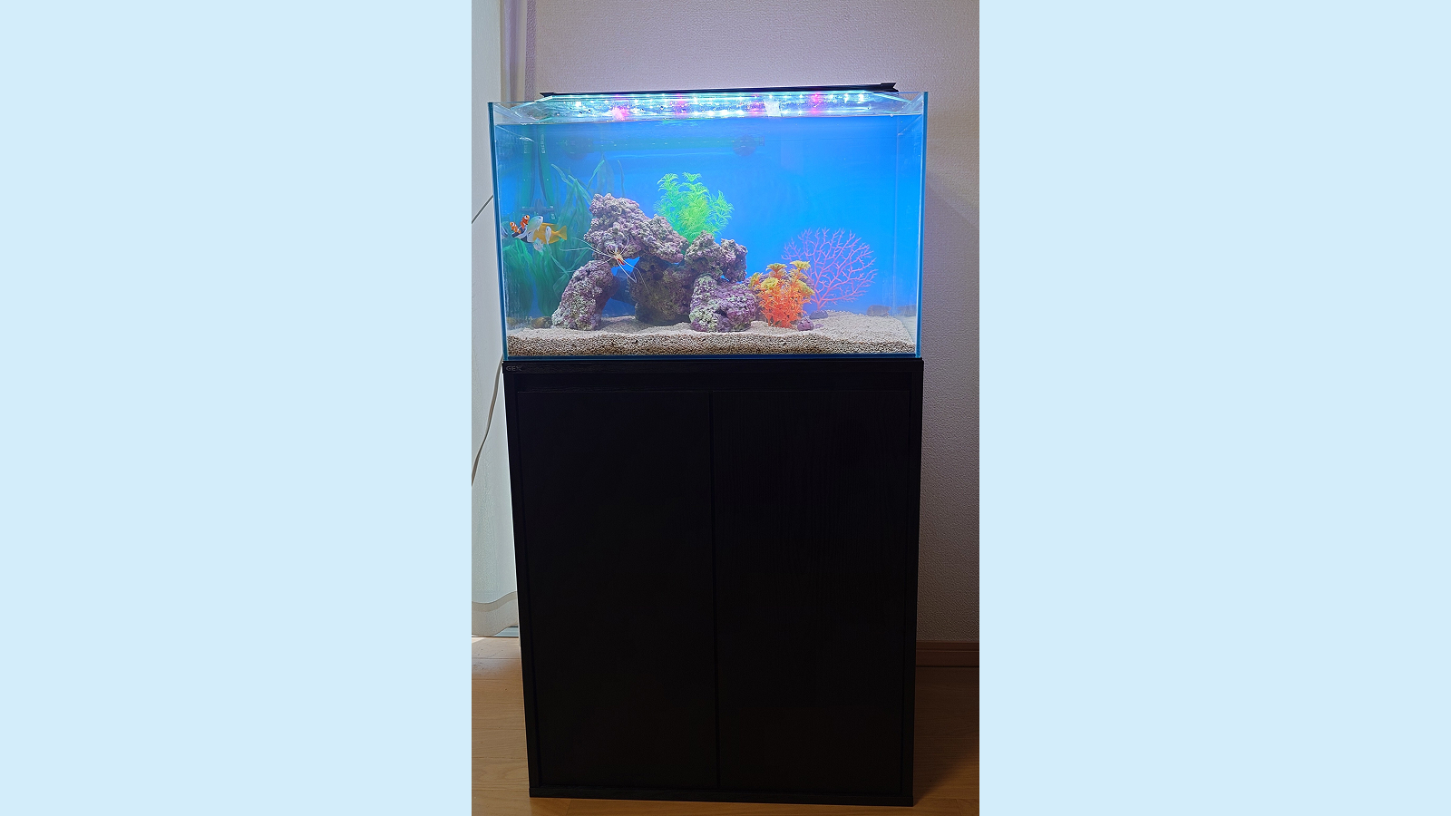 水槽屋アクアリウムわかばのアクアリウムレンタル