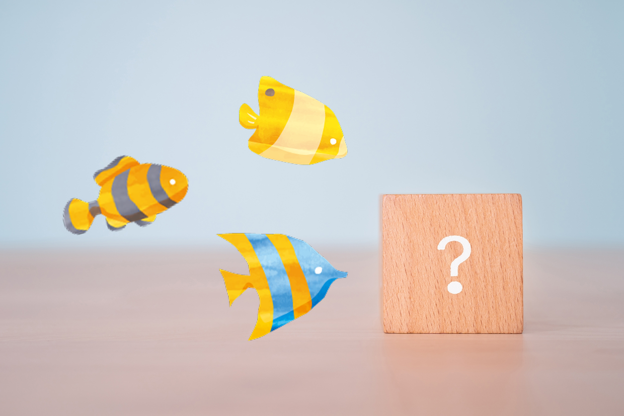 疑問に思う魚たち