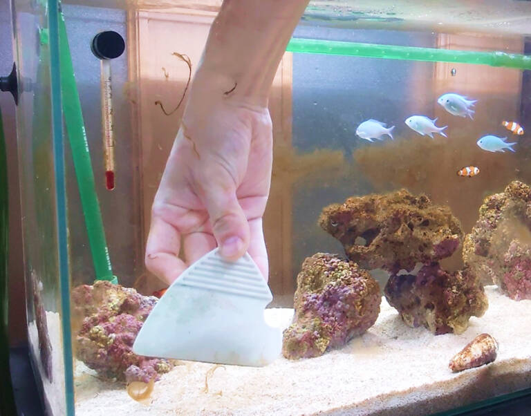 水槽屋アクアリウムわかばのメンテナンス