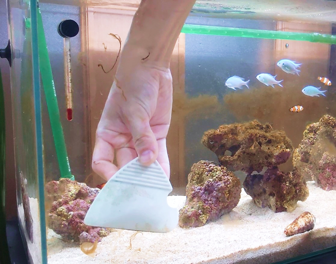 水槽屋アクアリウムわかばのメンテナンス