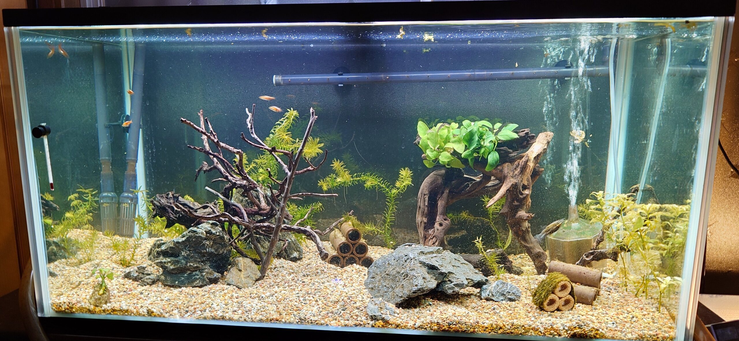 水槽屋アクアリウムわかばのアクアリウムレンタル