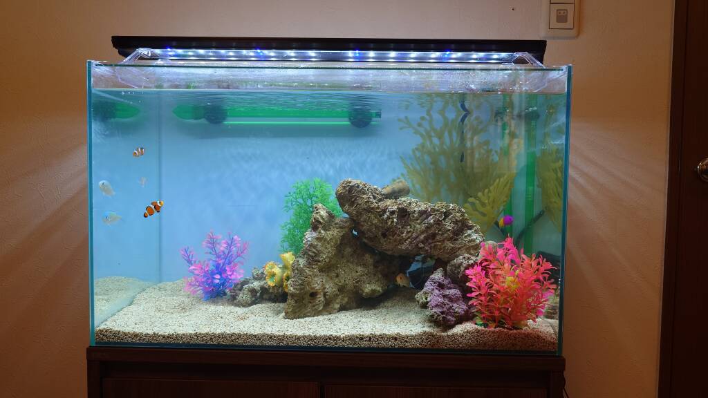 水槽屋アクアリウムわかばのアクアリウムレンタル