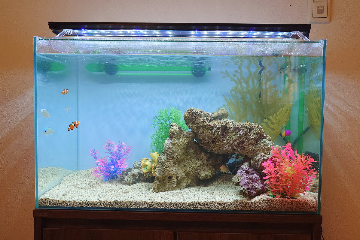 水槽屋アクアリウムわかばのアクアリウムレンタル